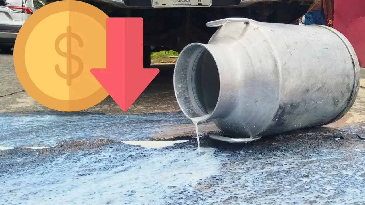 Excluidos de Liconsa, productores tiran leche en Xalapa