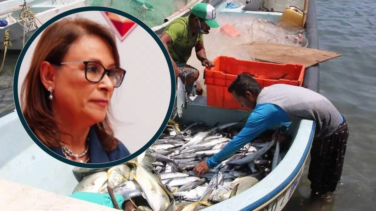 Ayuda a pescadores es directa, sin intermediarios, subraya Nahle