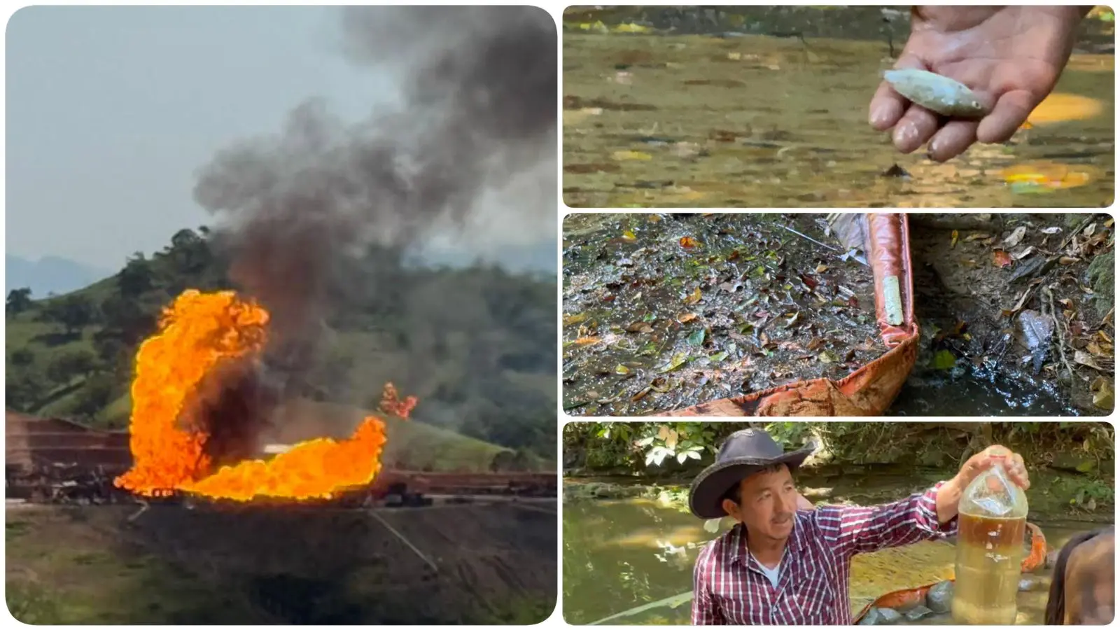 Explosión en pozo de Pemex contamina y mata ganado en Las Choapas