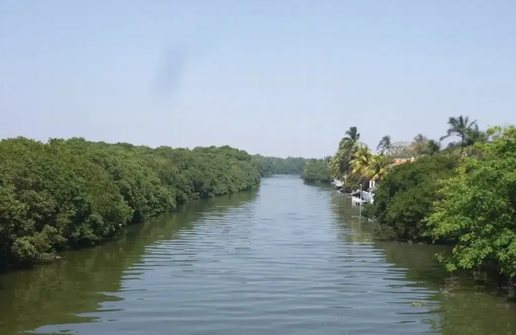 Acusan a CFE de presuntamente derramar químicos en ríos de Boca del Río