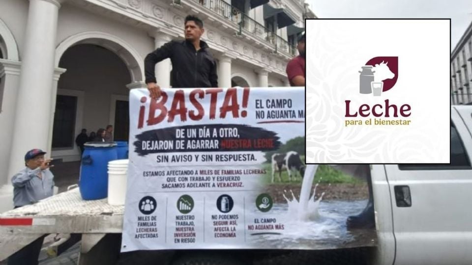 Sheinbaum indagará por qué Leche para el Bienestar no le compra a productores de Veracruz