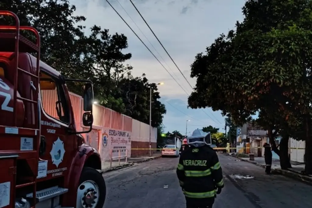 Buscan a familiares de persona atacada por abejas en Veracruz