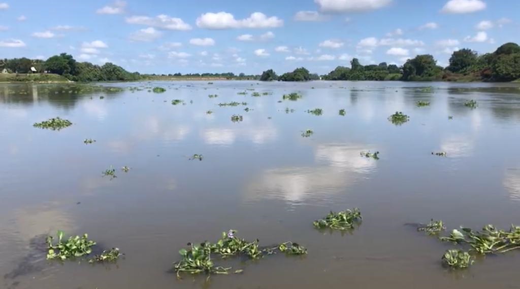 Pide diputado frenar contaminación del Papaloapan y activar plantas tratadoras