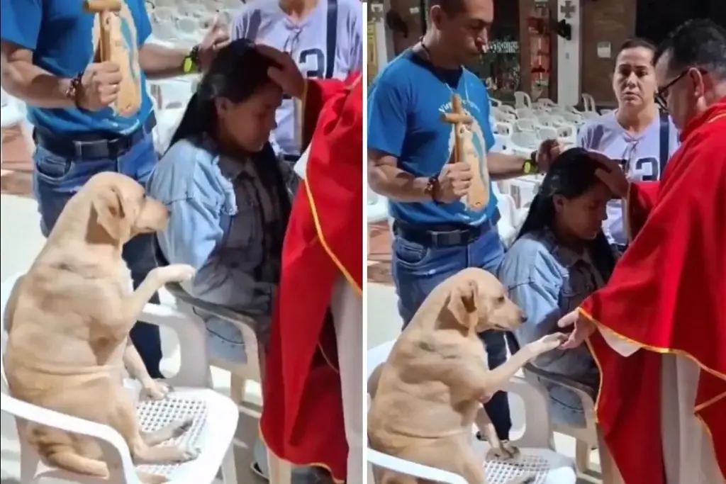 Conmueve perrito al ‘participar’ en oración