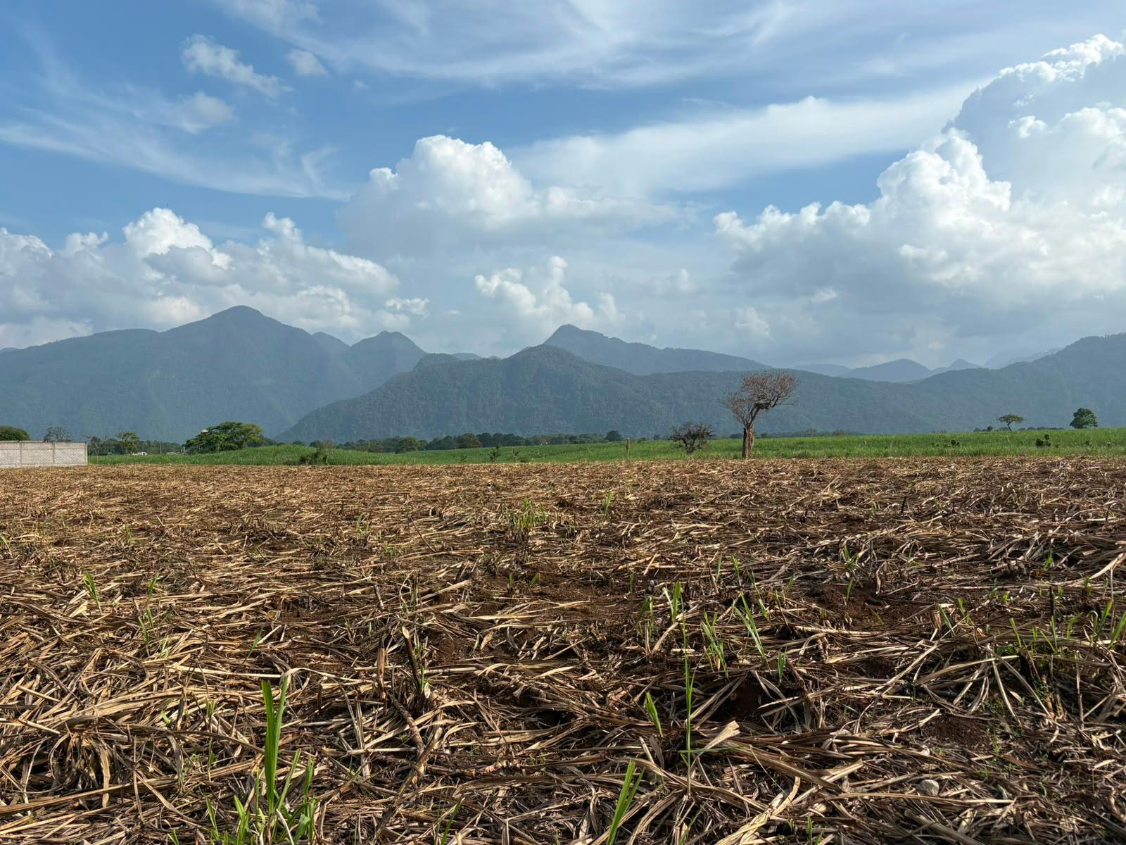 Centro de Veracruz enfrentará lluvias sin Atlas de Riesgo