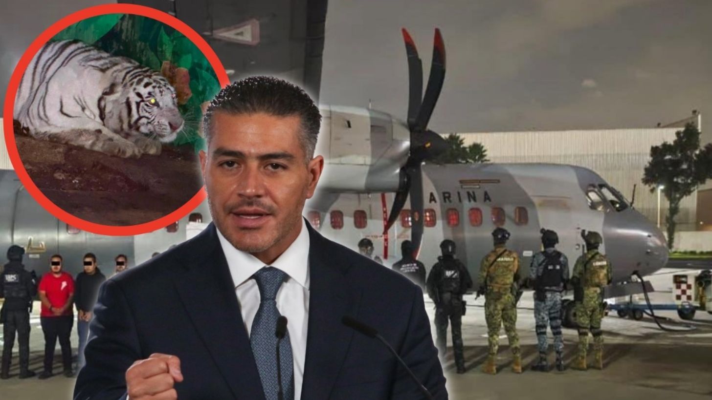 Detienen a 20 personas vinculadas con el CJNG, informa Omar García Harfuch; decomisan tigres, panteras y más animales