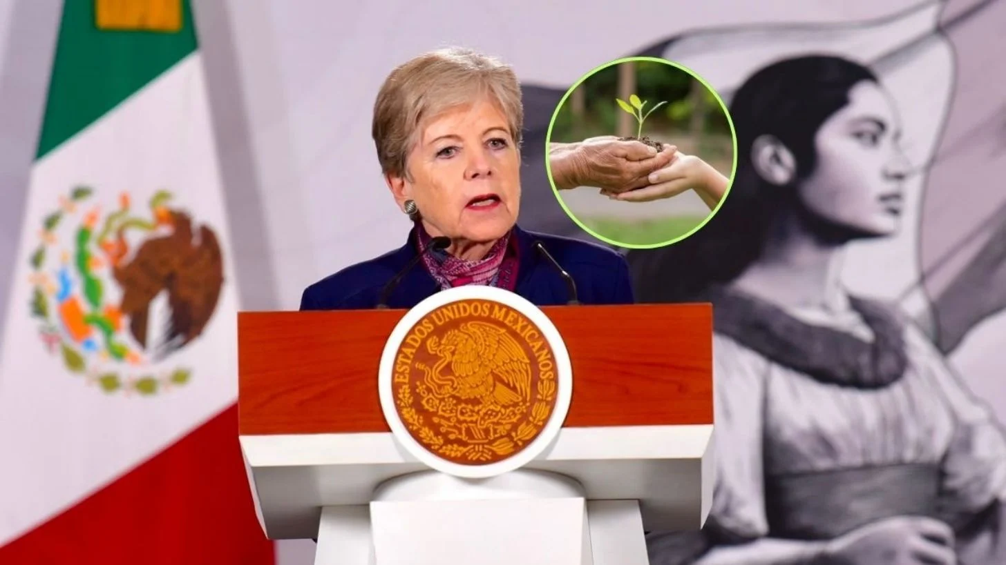 ¿Qué es la nueva Ley General del Equilibrio Ecológico y la Protección al Ambiente y en qué consisten sus 10 principios?