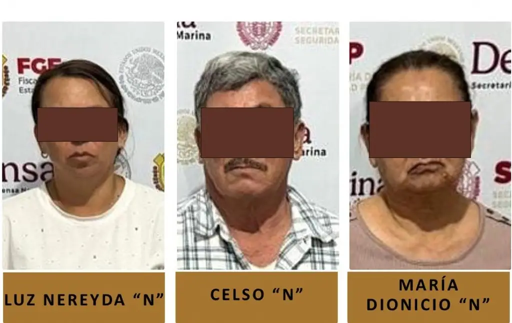 Caen 3 con 15 millones de pesos al norte de Veracruz