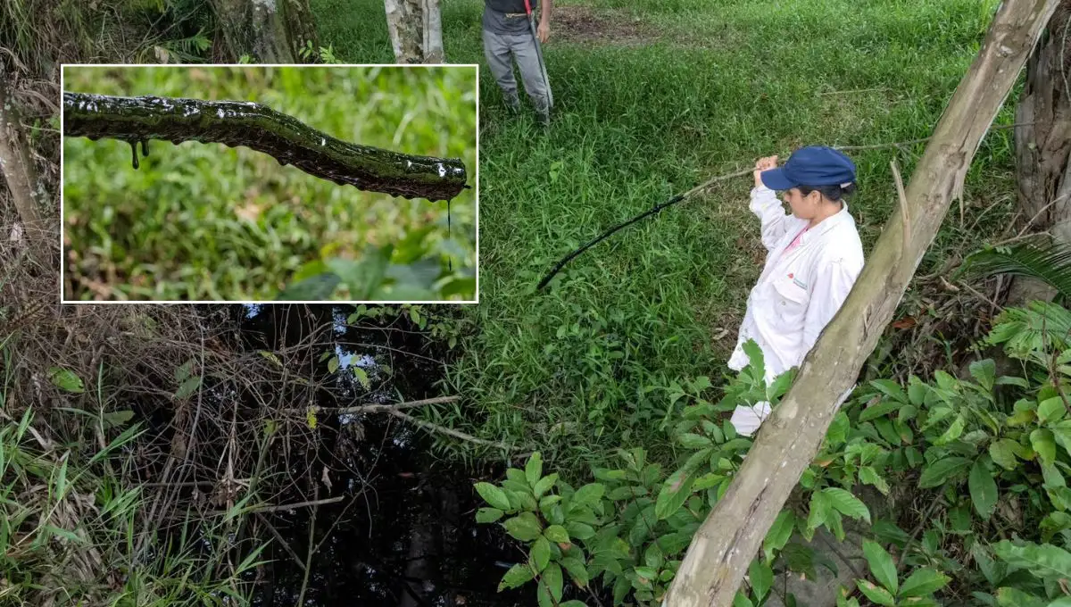 Derrame de hidrocarburo en Ixhuatlán cumple 20 días; pobladores exponen mortandad de especies