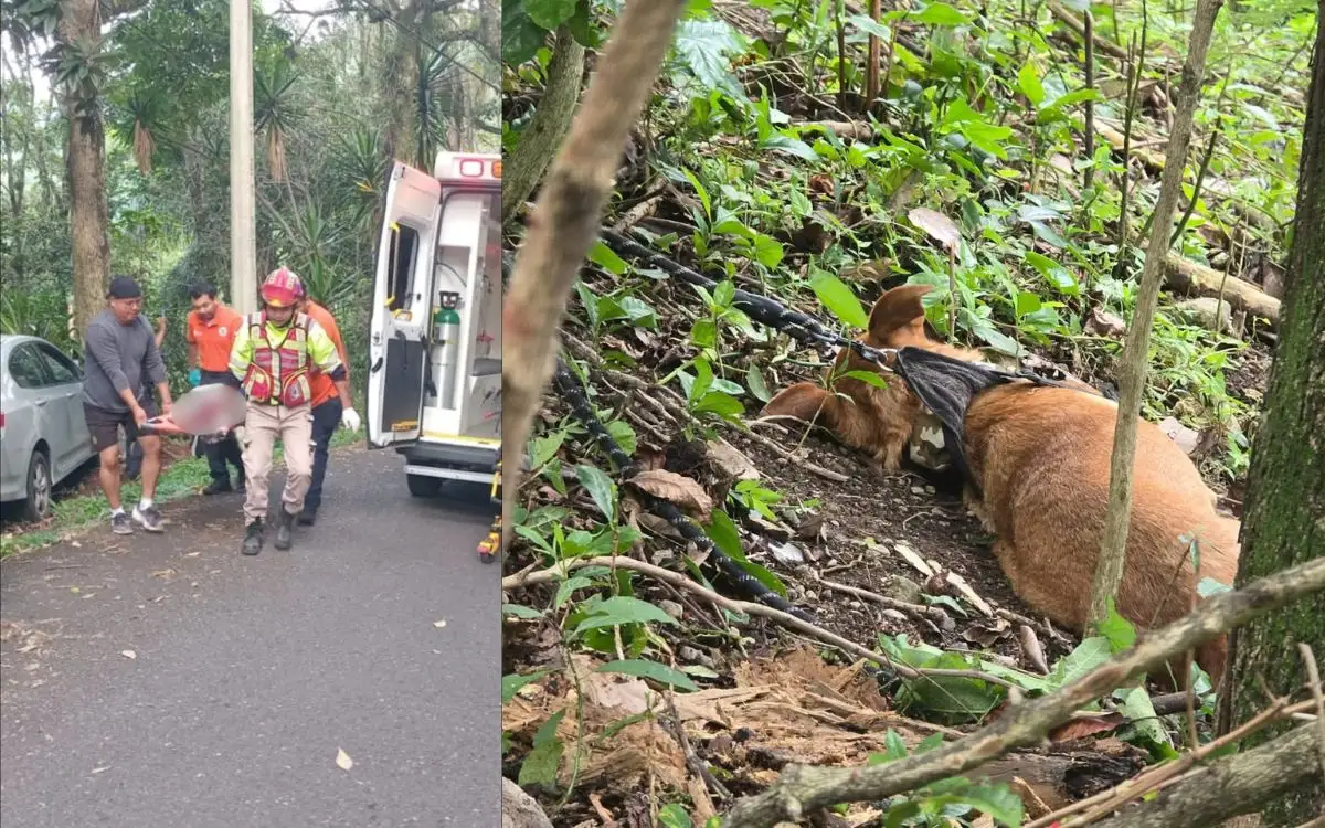 Identifican a madre e hija atropelladas en Fortín; una de ellas murió junto a su perro