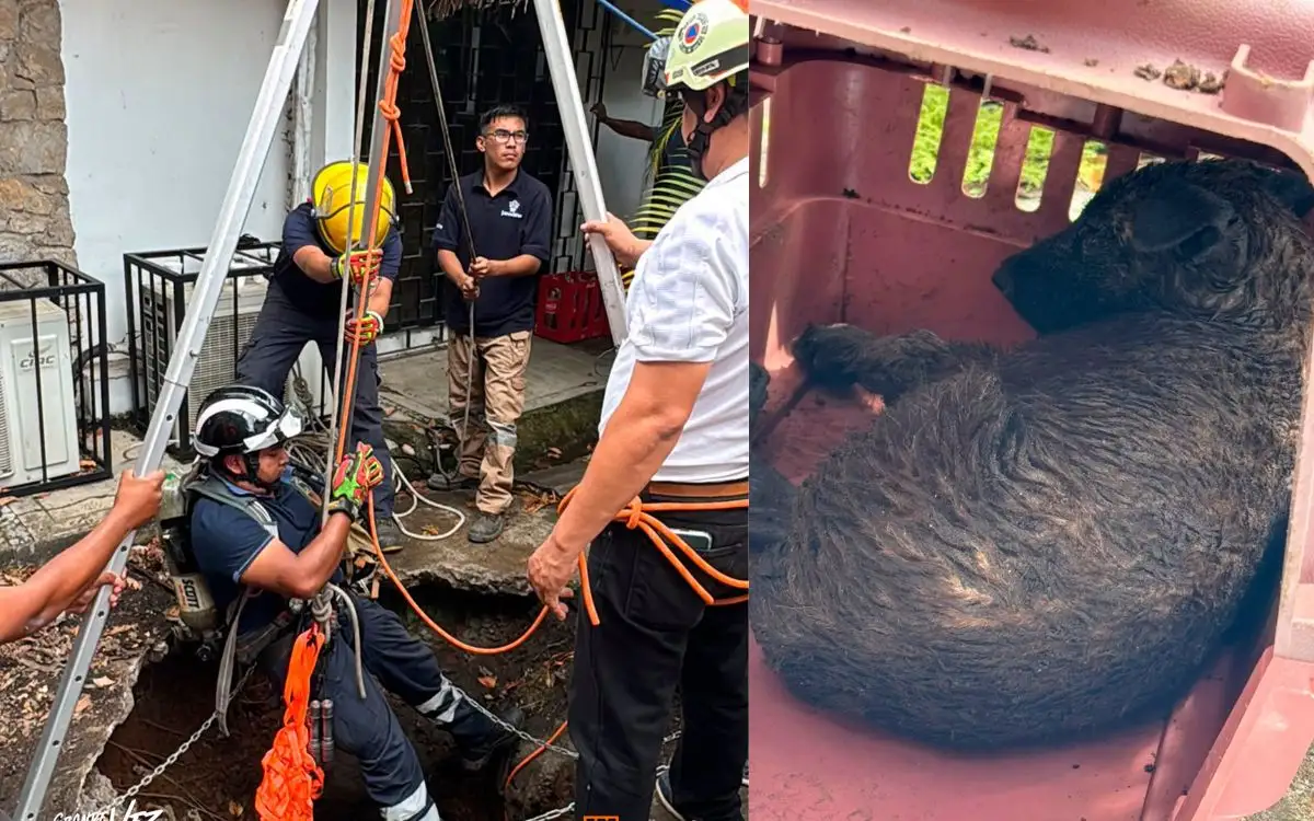 En Fortín, rescatan a “lomita” que cayó a pozo de 25 metros; tenía 3 días atrapado