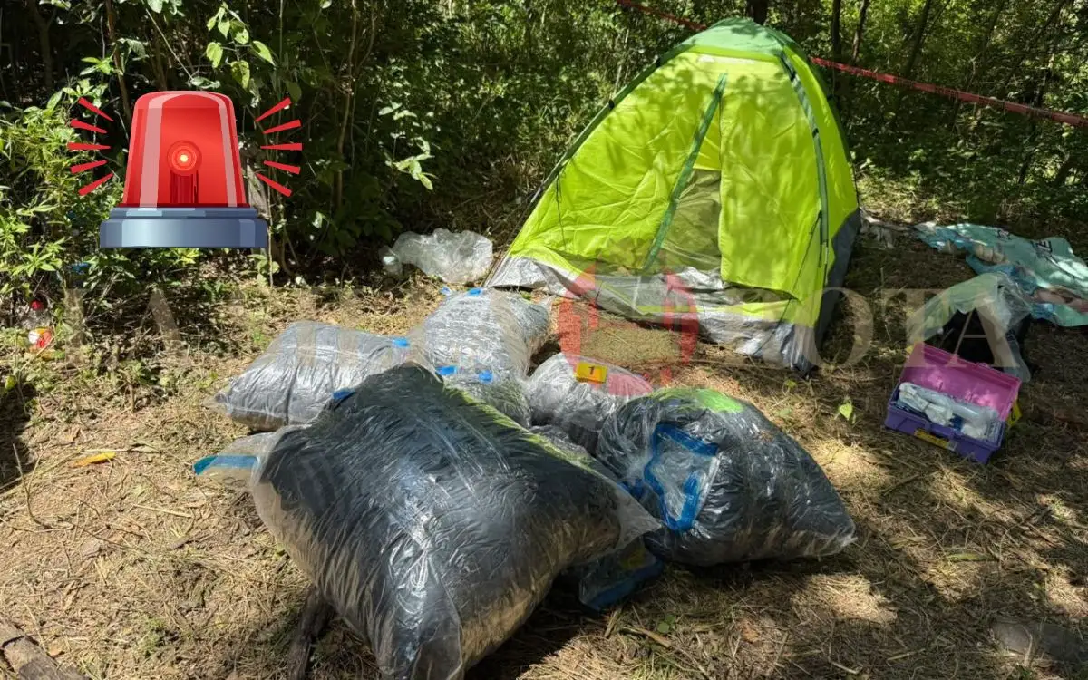 Tras cateo en Tempoal, hallan 59 mil 400 bolsitas con droga y armas largas