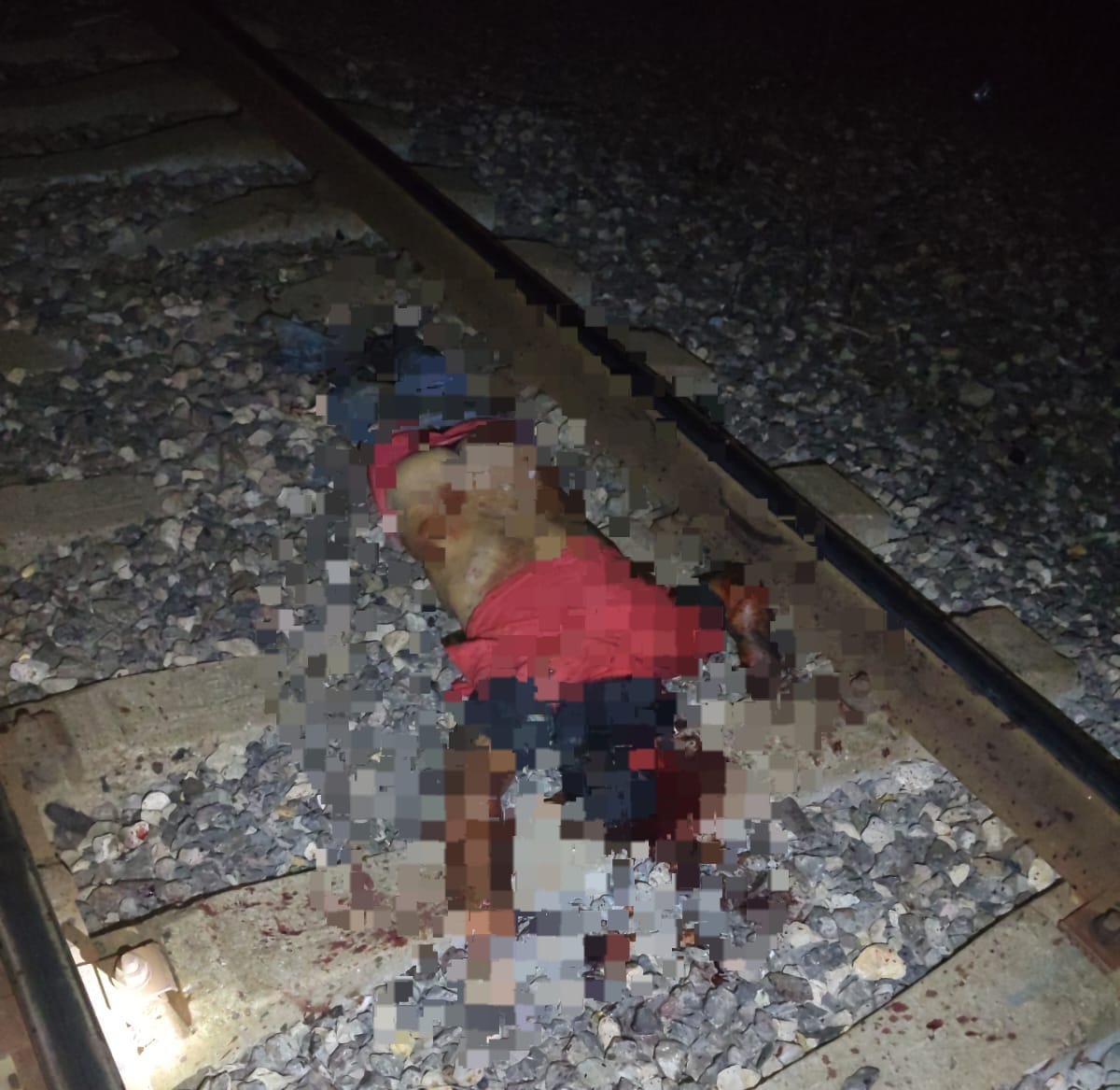 MU3R3 EMBESTIDO POR EL TREN