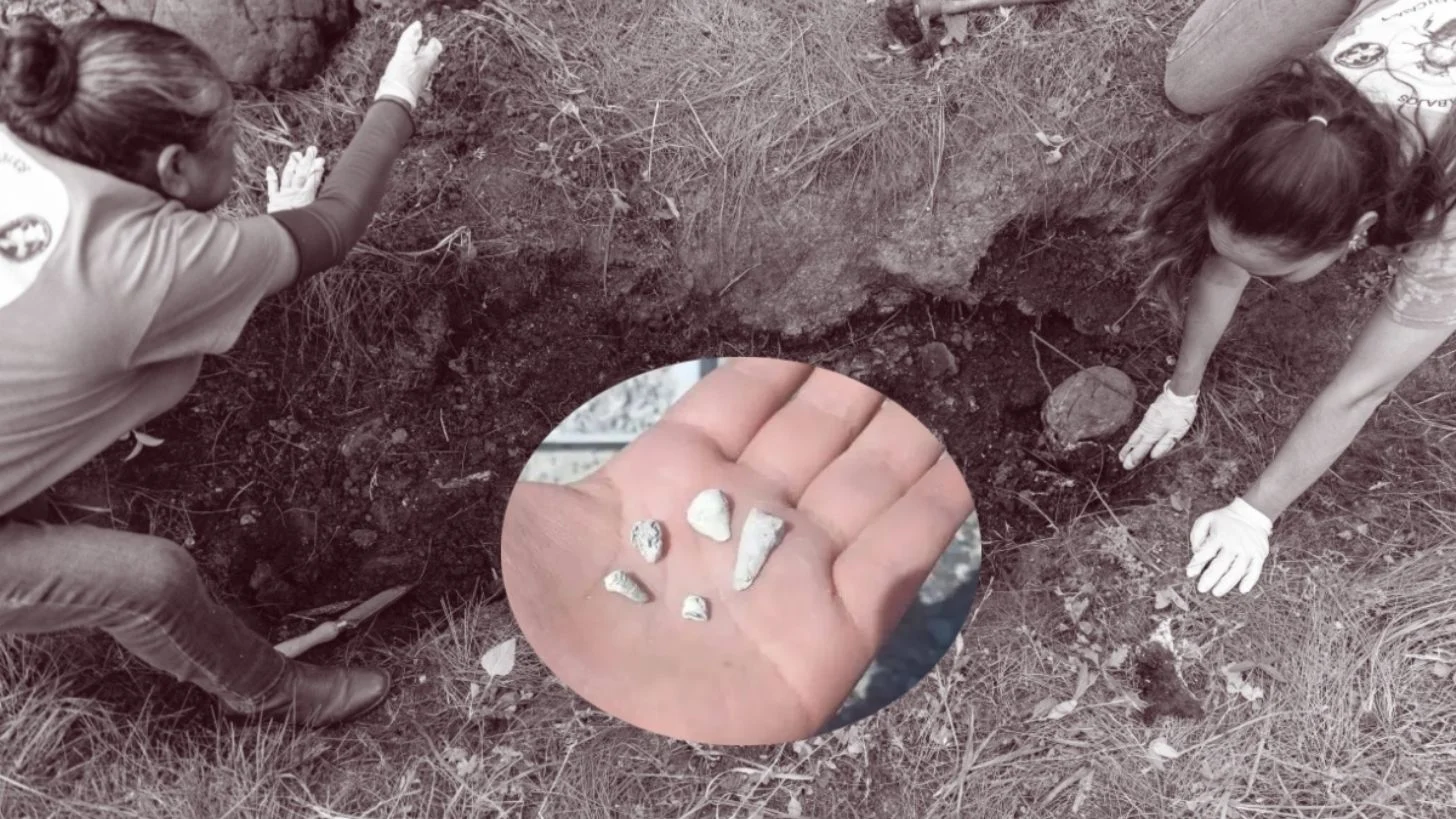 Hallan 1,600 dientes de leche en fosa clandestina, activista revela perturbador dato sobre el descubrimiento en Zacapu