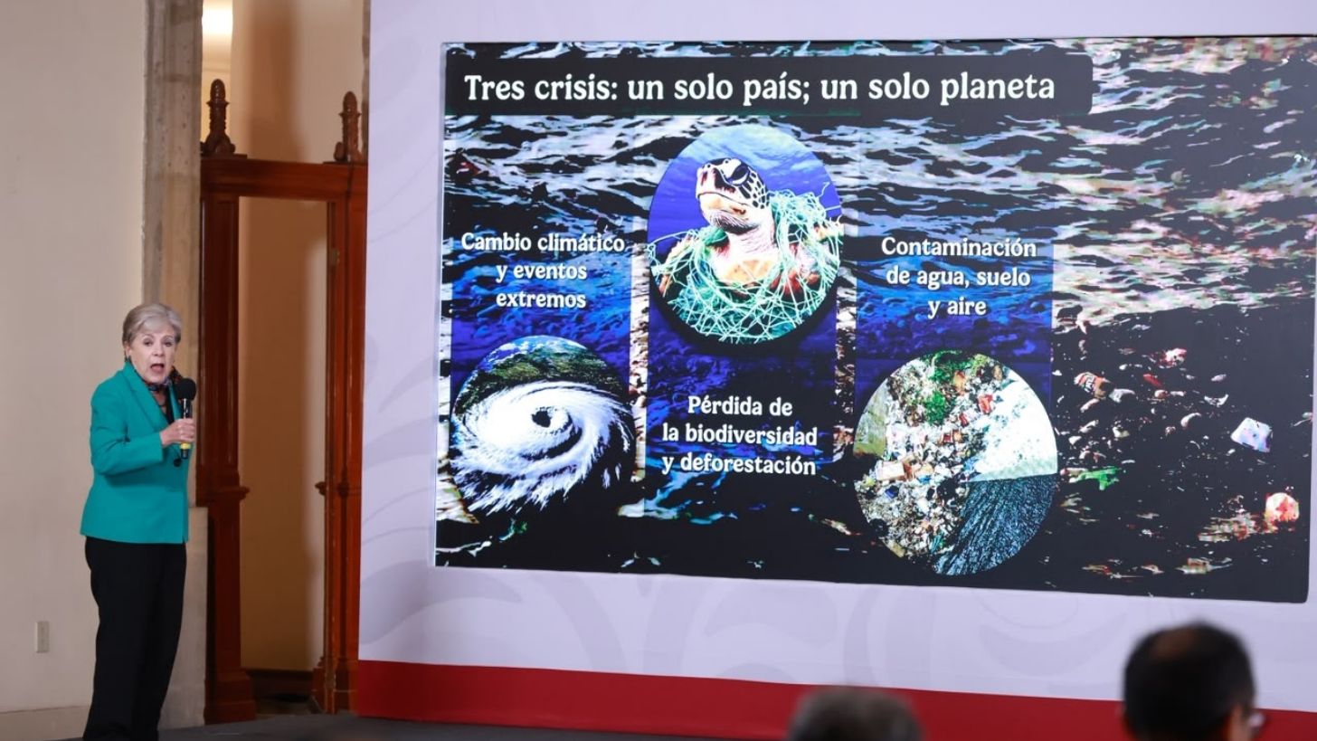 Celebra Bárcena aprobación de la Ley de Bienestar Animal y explica en qué consiste
