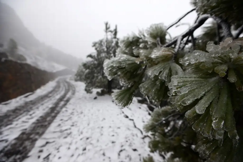 ¿Habrá “blanca Navidad” en Veracruz por El Niño?