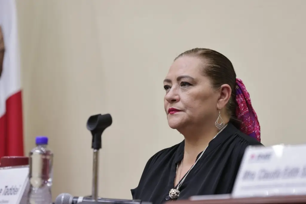Diputados reciben renuncia de Taddei como Consejera Presidenta del INE