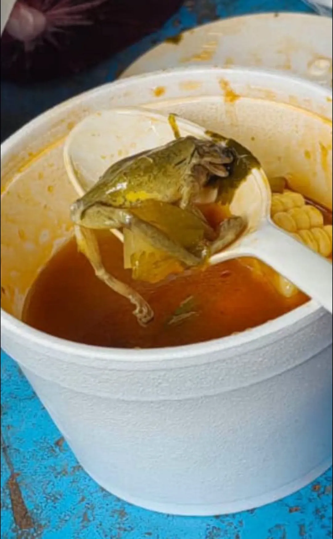 Caldo de rana: Trabajadores de Innophos Coatzacoalcos acusan hallazgo de animal en comida