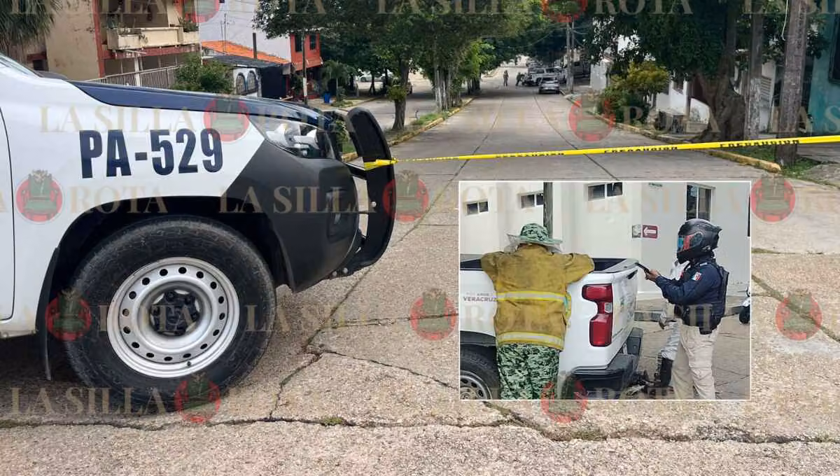 Ataque de abejas deja 7 lesionados en Coatzacoalcos; un menor está grave