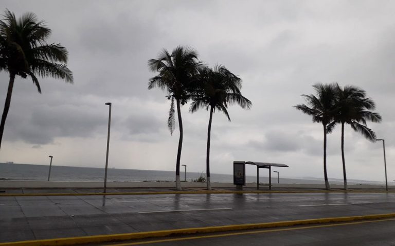 Clima en Veracruz hoy: pronóstico por región, lluvias y alertas