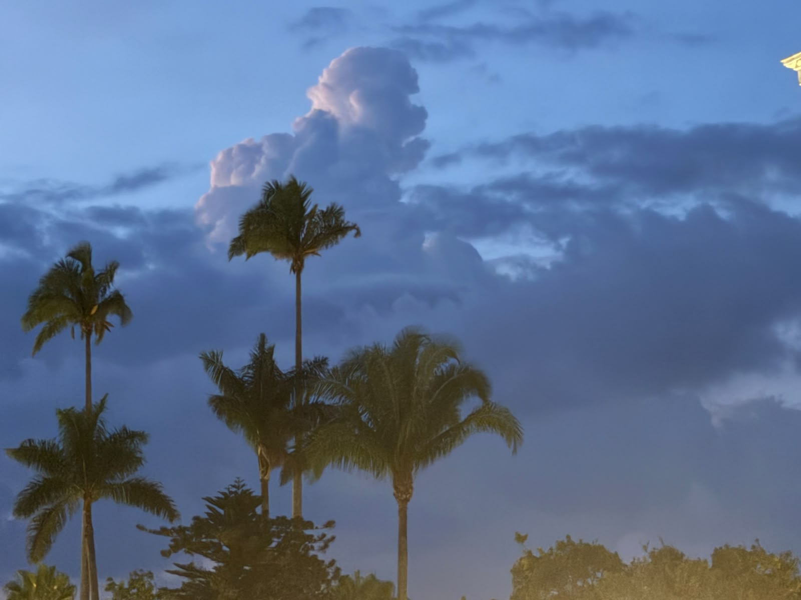 Veracruz tendrá más lluvias y tormentas este jueves; prevén rachas de viento