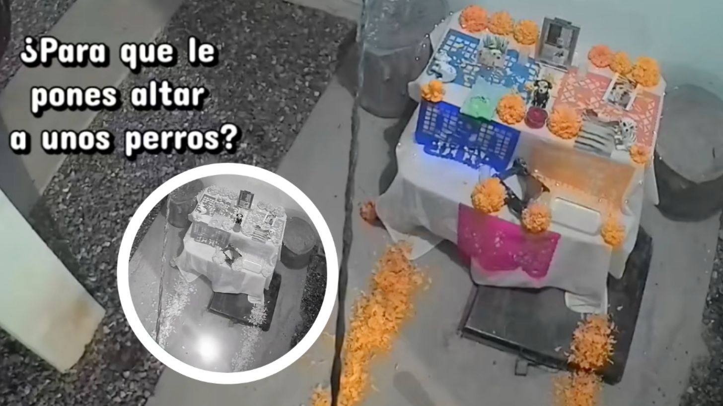 “Sé que fueron ellos”: mujer asegura que sus perritos visitaron su altar y comparte evidencia en VIDEO