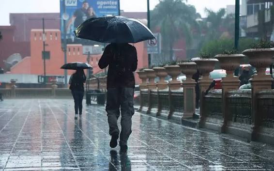 Clima en Veracruz hoy: pronóstico por región, lluvias y alertas